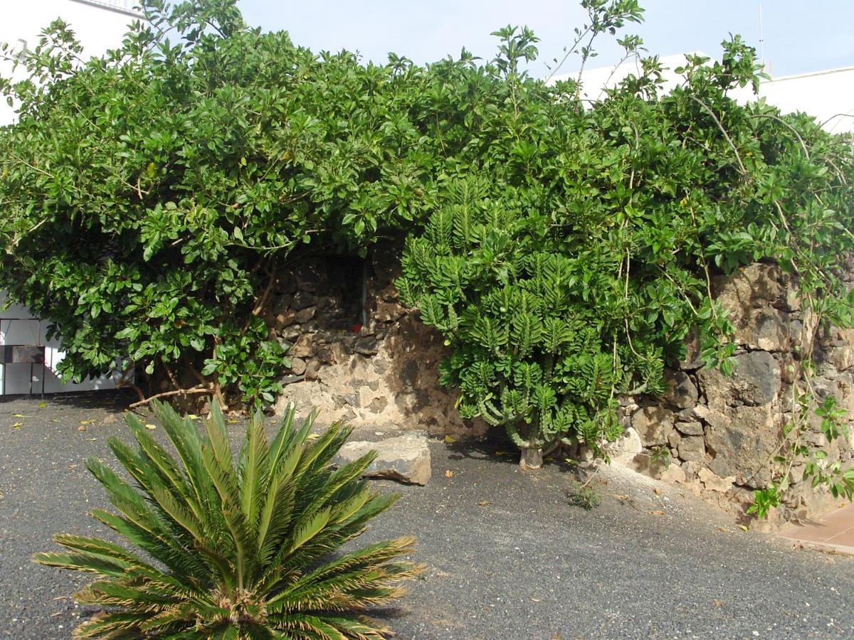 شقة Casa La Tahonilla تياس المظهر الخارجي الصورة
